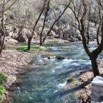 Πηγές Αροανίου ποταμού στο Πλανητέρο_