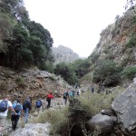 trekking